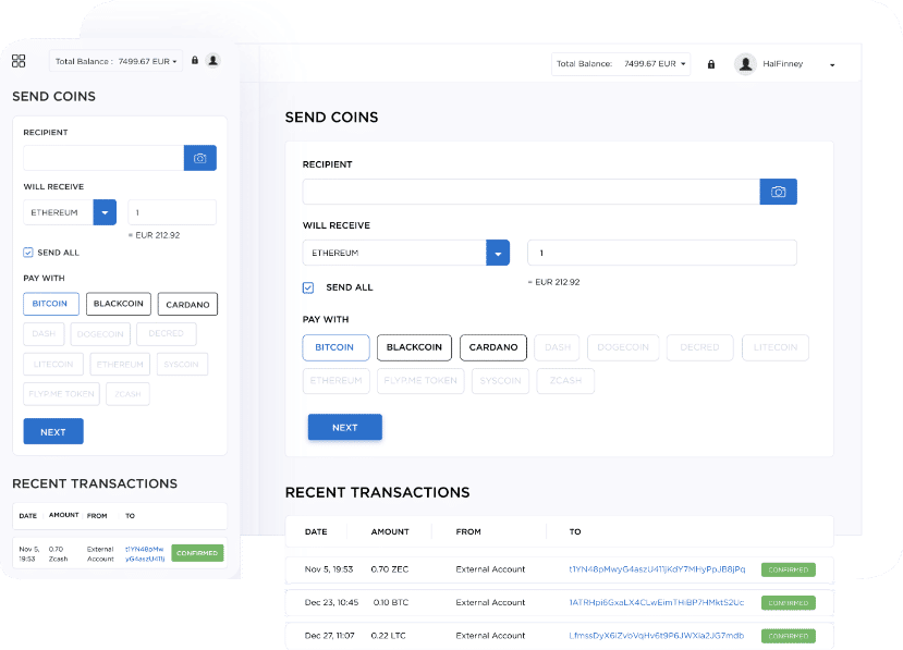 Hybrid Platform Development